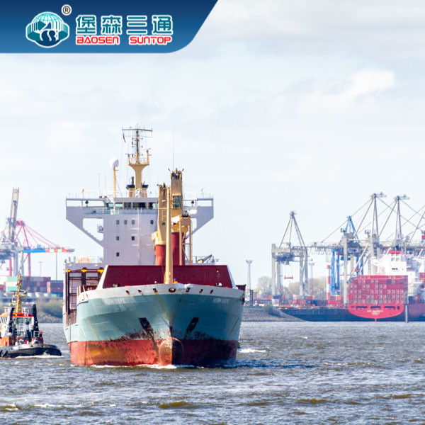 Labeling International Dropshipping Business , Professional Freight Forwarder DDU