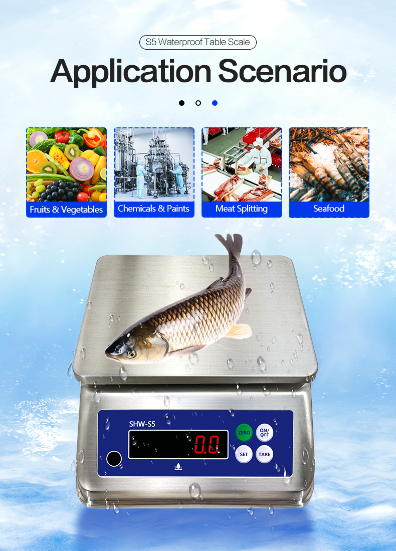 6kg Maximum Weighing Stainless Steel Scale with Dual Display and IP68 Waterproof Rating