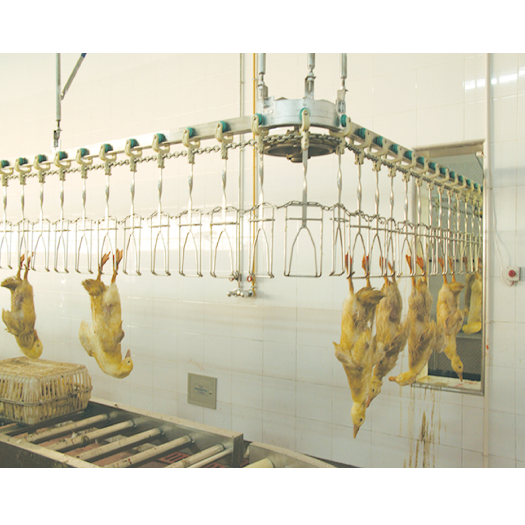 CE Approved Automatic Chicken Feather Plucker Poultry Plucking Machine