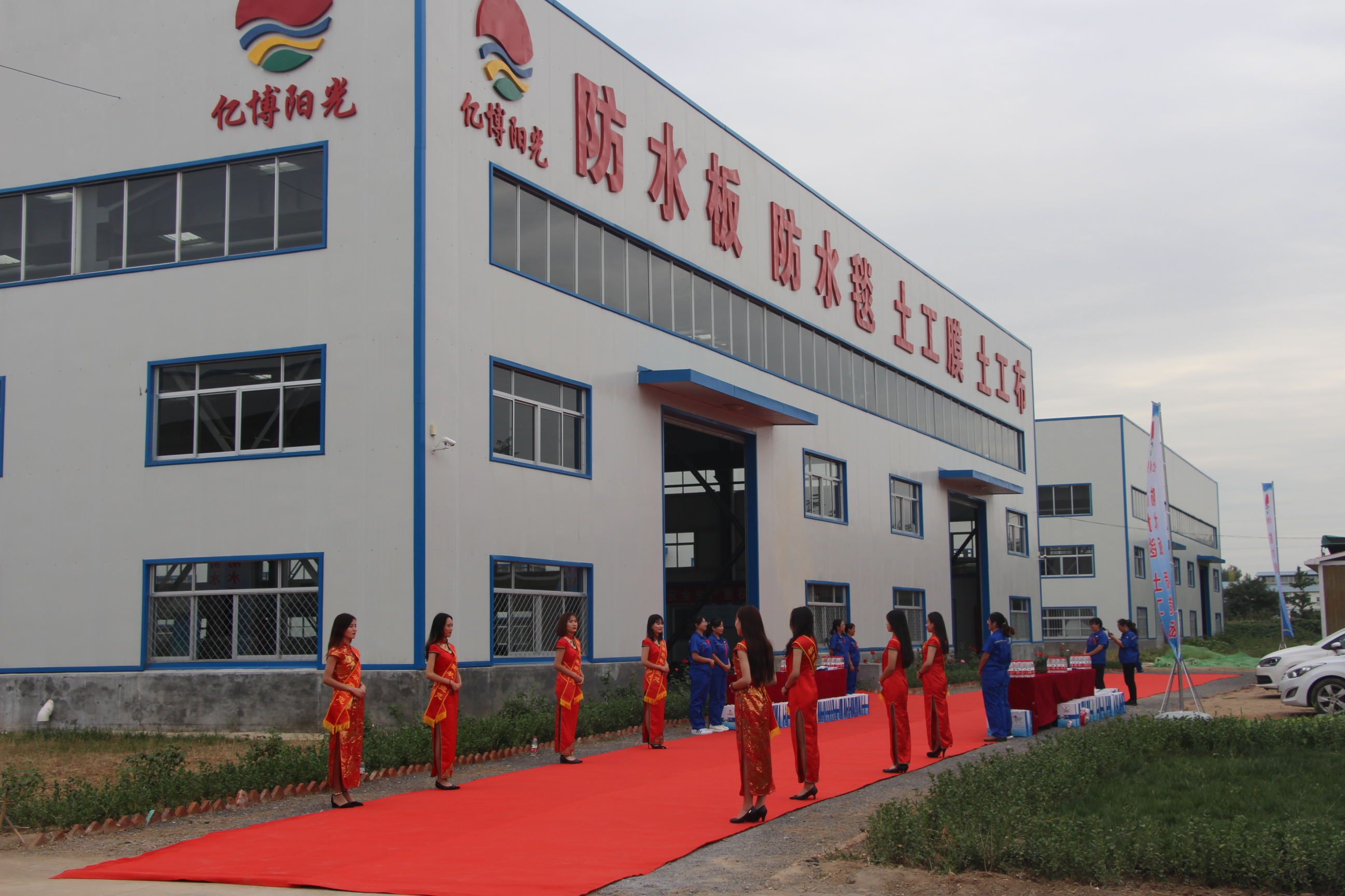 6m Width Black and White Geonet Geotextile Composite Drainage Geonet at for Landfill