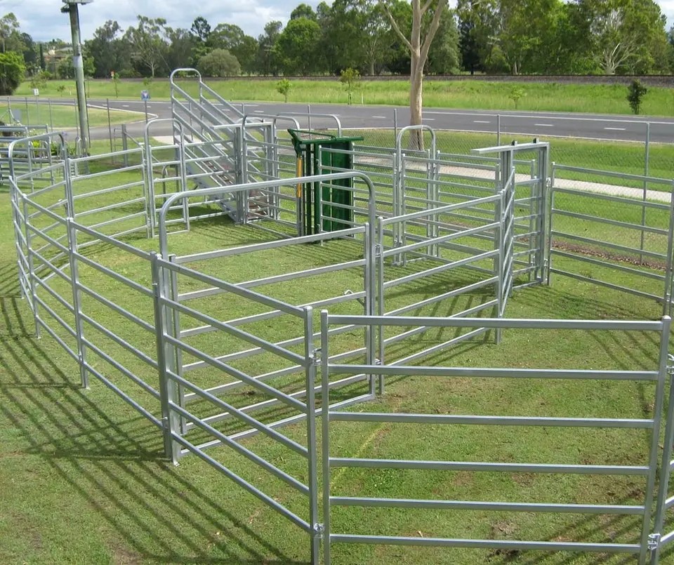 Horse 2.1m X 1.8m Livestock Fence Panels Hot Dip Galvanized Pipe
