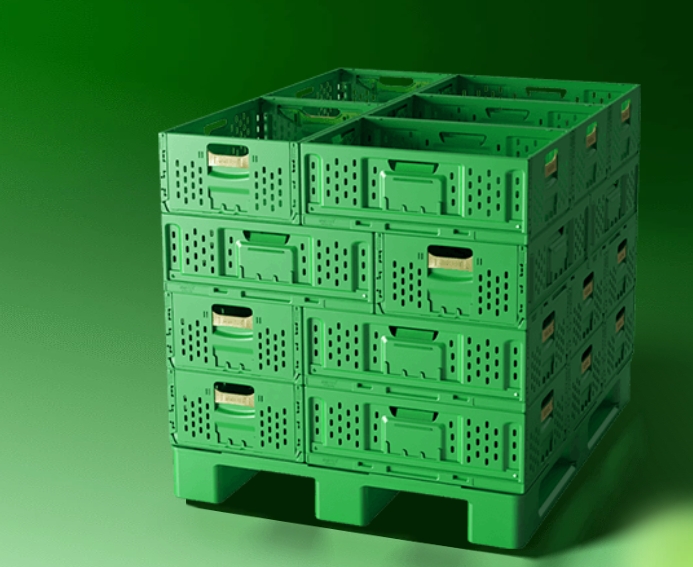 Customized Logo Green Collapsible Plastic Mesh Storage Crate for Vegetables and Fruits