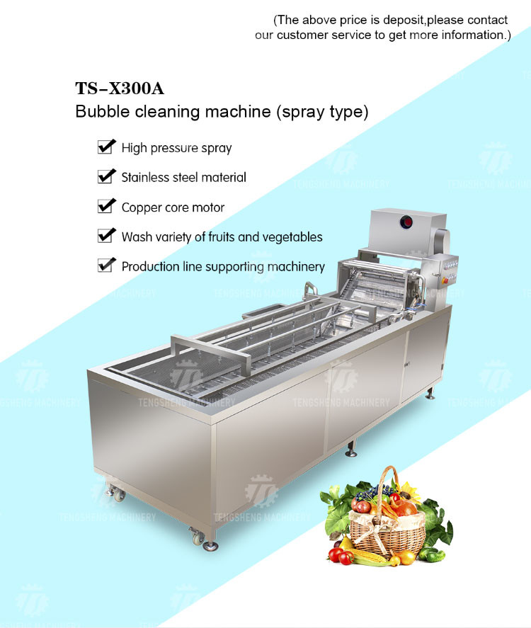 240KG SUS 304 Vegetable And Fruit Washing Machine Orange Cleaning Machine