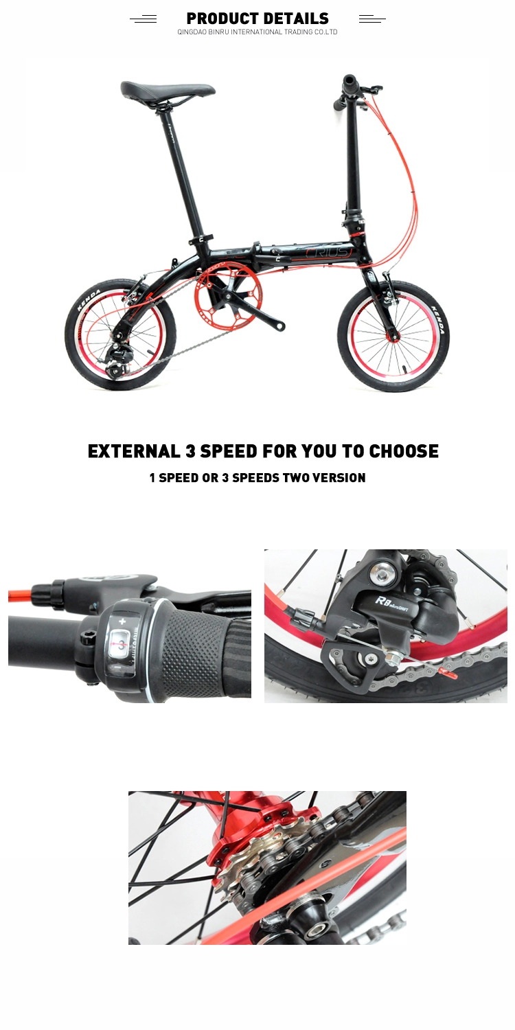 Lightweight 14 Inch Aluminum Alloy Single Speed Folding Bike For Outdoor Adventures