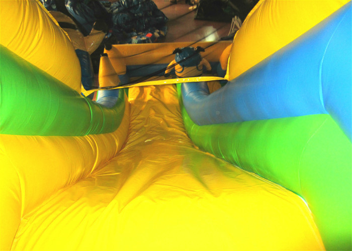Hot sale digital printing inflatable the minions standard dry slide inflatable single dry slide