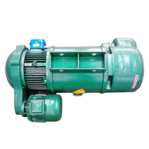 Customized Design Wireless Remote Control Electric Hoist For Crane