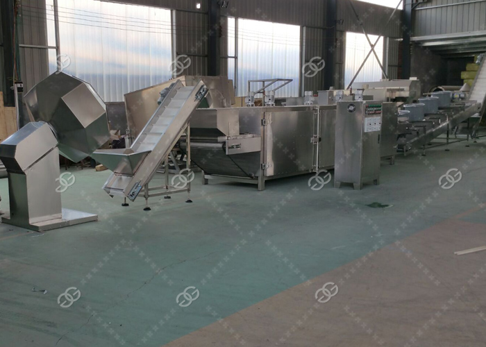 Coconut Chips Making Machine