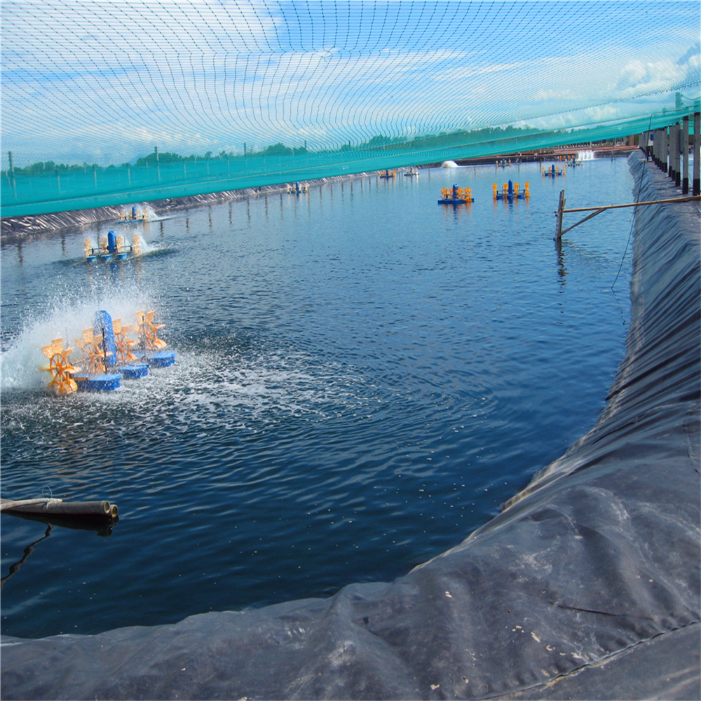500 micron HDPE Geomembrane Shrimp Pond Liner for Durable Shrimp Farming in Indonesia