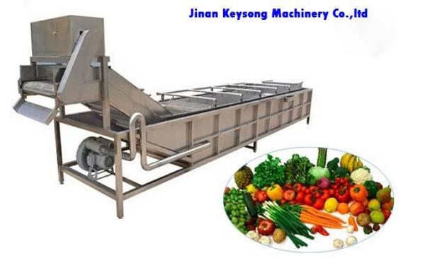 Fresh Fruit And Vegetable Processing Machinery Cleaning Equipment High