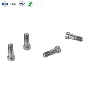 Stainless Steel Hexagon Socket Head Cap Screws with Slotted Locking and Common
