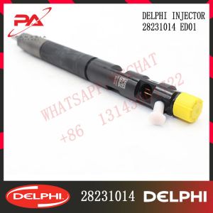  Ringees Fuel Injector 28231014 Excavator Injector ED01 H5 H6 Common Rail Diesel Injector 1100100-ED01 Manufactures