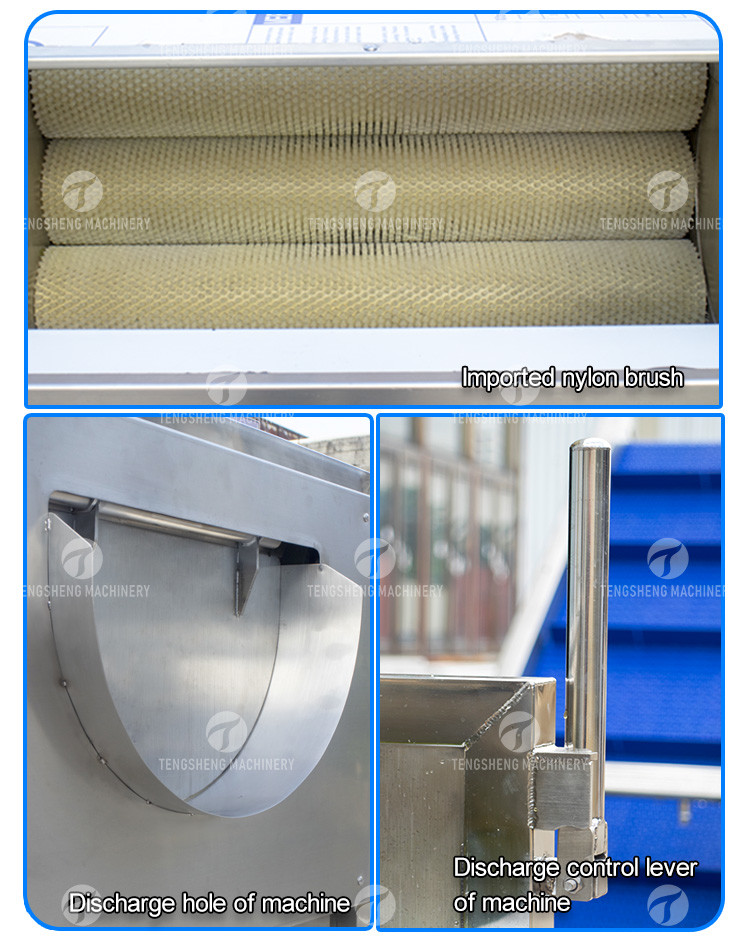 Citrus Stalk Eliminated Lemon Processing Machinery Industrial Air Bubble Brush