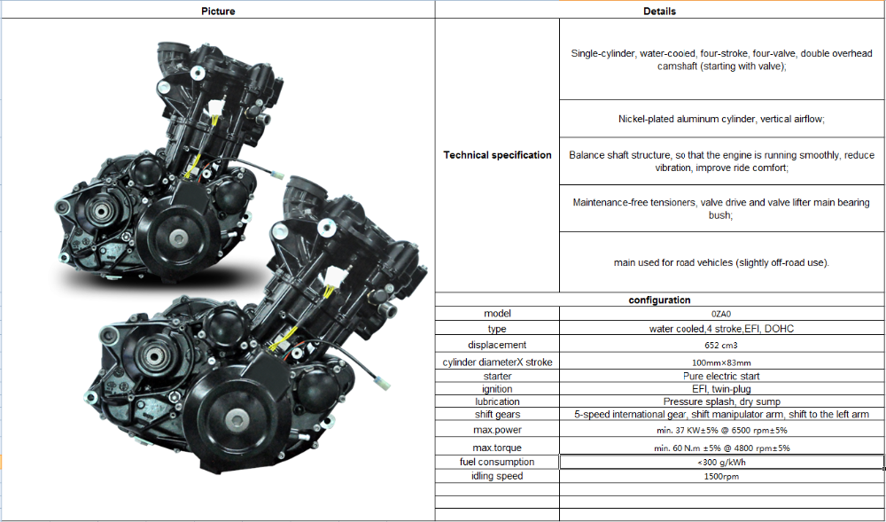 LIFAN/ZONGSHEN/LONCIN/DAYANG 652 Cm3 Motorcycle Engine Water Cooled 4 Stroke EFI DOHC