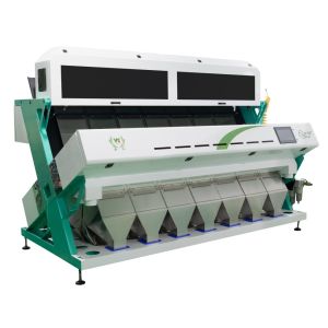  AI Self Learning CCD Optical Multifunction India Garlic Color Sorter High Accuracy Manufactures