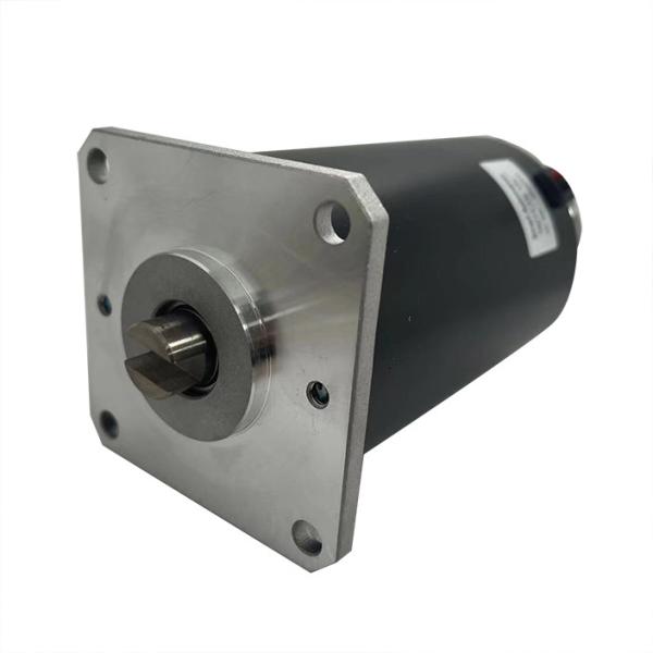 Custom Dc Pump Motor for Hydraulic Air Water Liquid Fuel Oil Pumps 12v 24v 36v