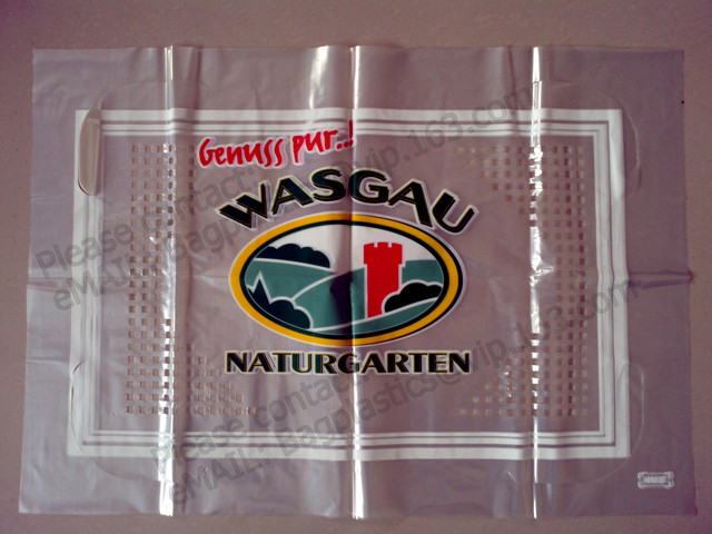 Clear Poly Sheeting Lay Flat Tubing Layflat Tubing Tubing Bags Auto Bags Polythene Sheet Polythene Packaging Film, Bagea