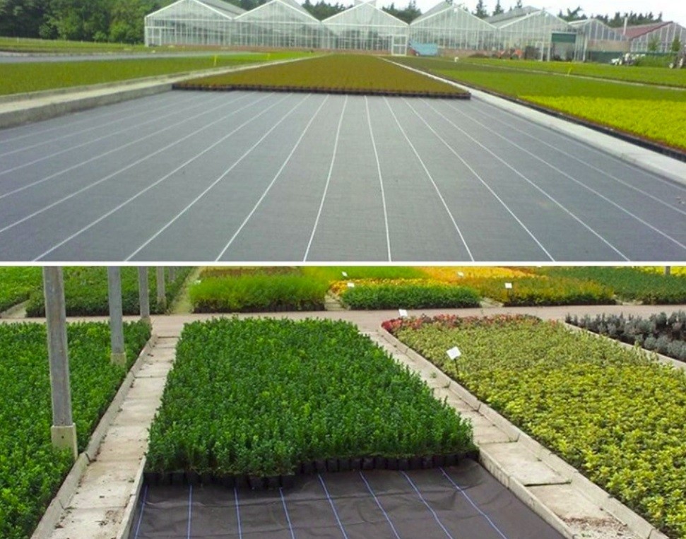 Landscaping Breathable Agriculture Non Woven Fabric Anti Frost Weed Killer Ground Cover