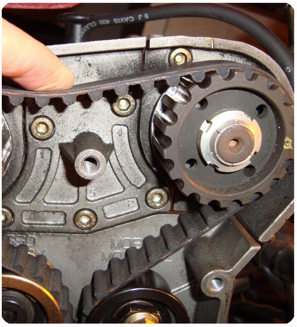 Customized PU Steel Cord Timing Belt for All Type to Meet Your Needs