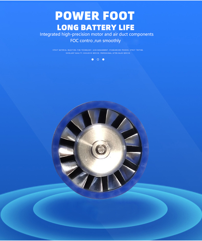 High Torque Brushless DC Motor Hair Dryer Motor Customizable