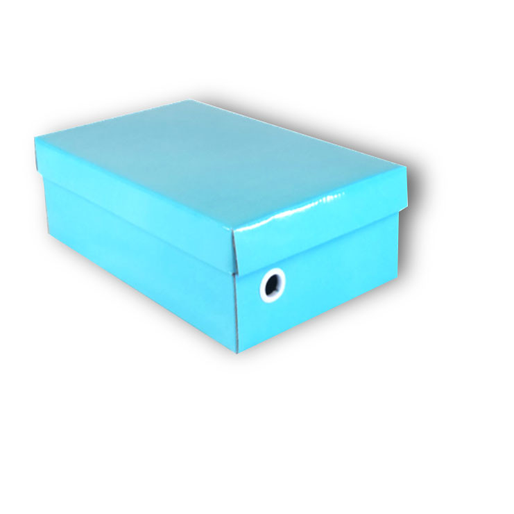 Handmade Packaging Shoe Box , Recyclable Custom Printed Corrugated Boxes