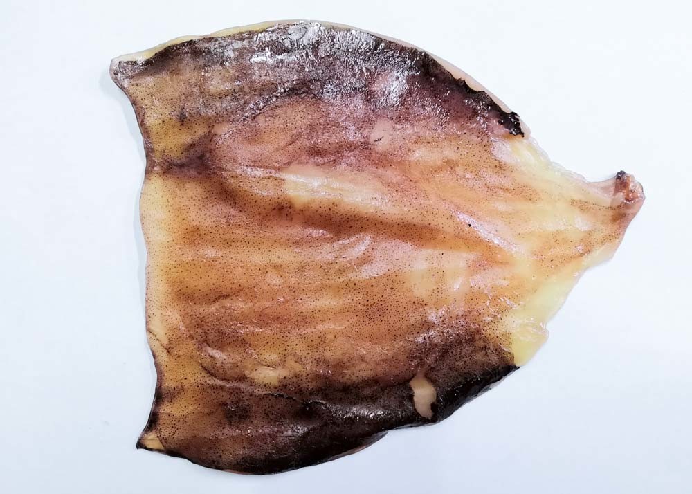 Fresh Roasted Squid No Starch