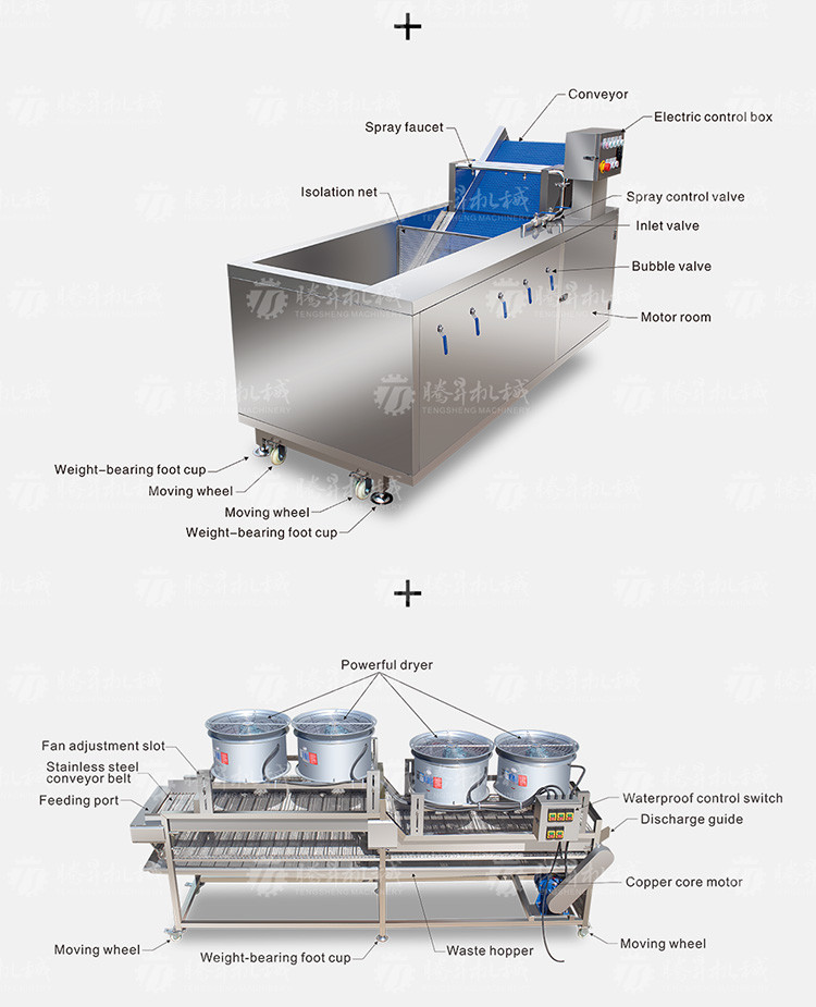 Fruit And Vegetable Wool Roller Bubble Cleaning Machine 1500KG/H