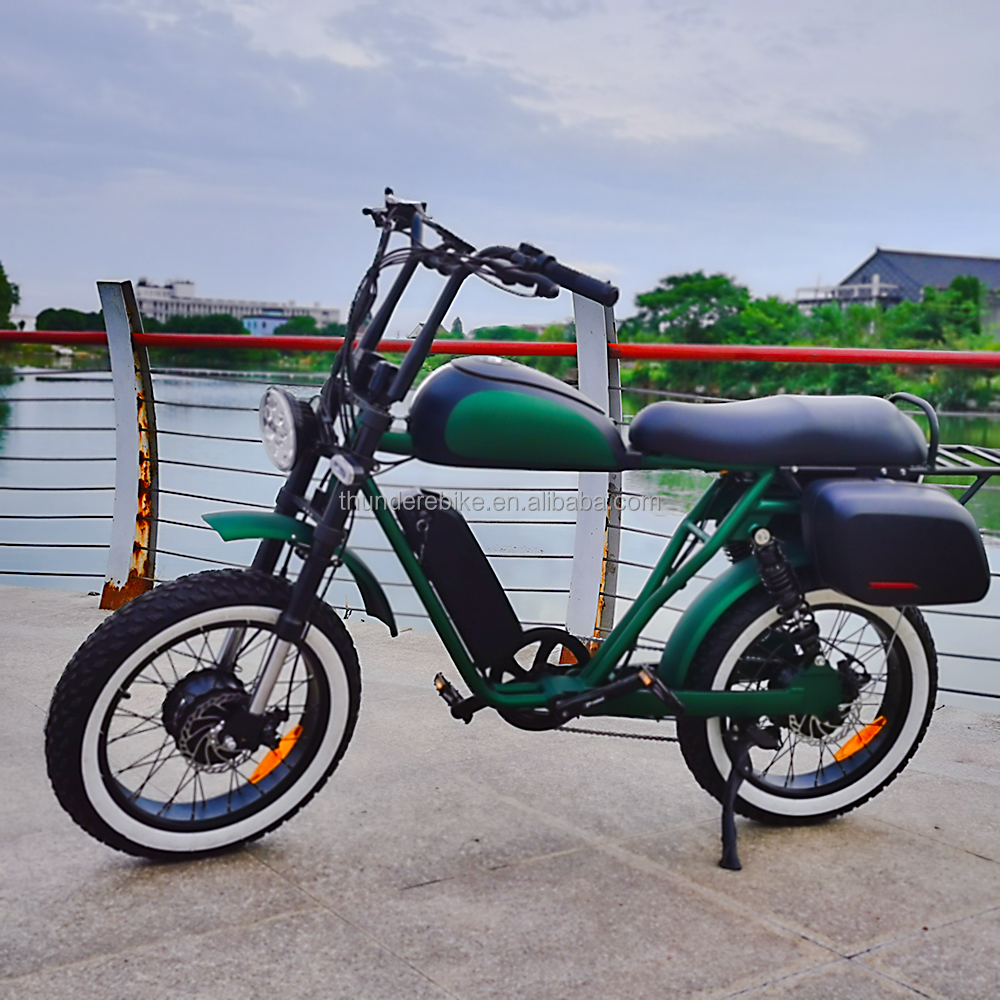 20 Inch Dual Motor Electric Bicycle 7 Speed Full Color Display Fat Tyre Electric Bike