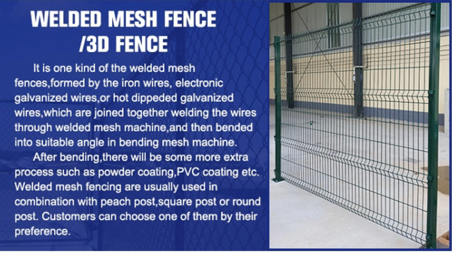 H2.5m 3D Welded PVC Coated Wire Mesh Fence Panels 60x60x1.5mm Green