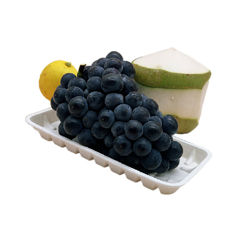 Biodegradable Cornstarch Trays