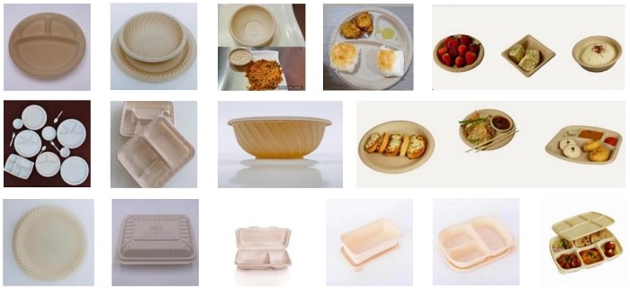 Ps Meal Take Away Lunch Food Box Making Machine