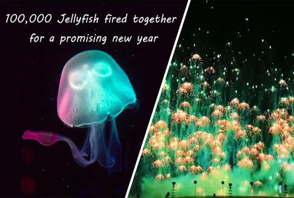 Quality New Year Toy Firework Jellyfish Consumer Novelty Fireworks Skyshots Pyrotechnic for sale
