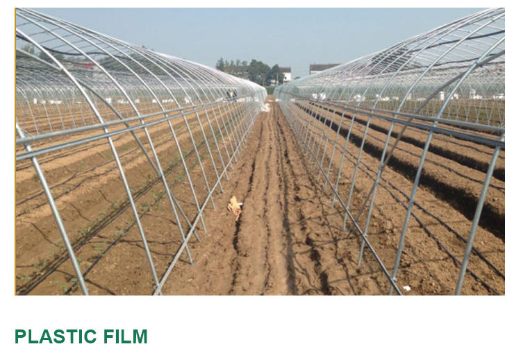 Insulation Agricultural Plastic Film Greenhouse for Single-Span at in 6m 8m 10m Width