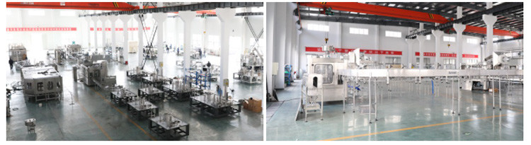2L Rotary Mineral Water Automatic PET Plastic Bottle Filling Machine