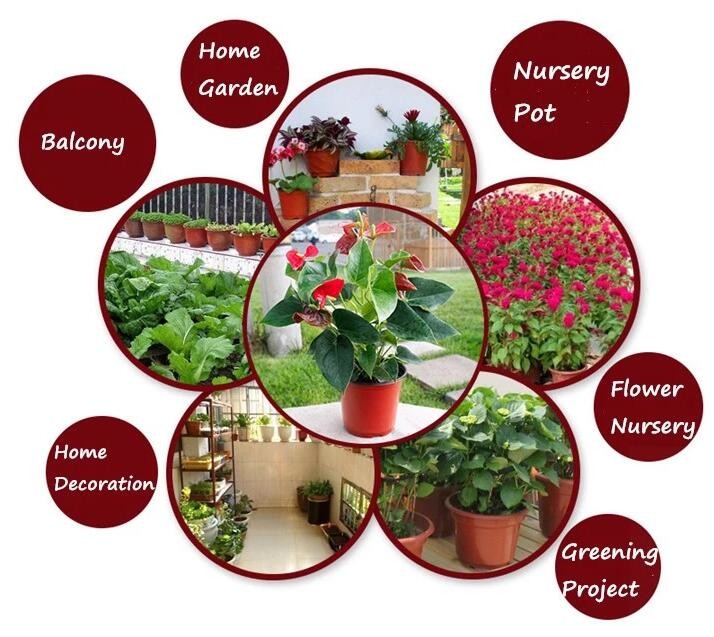 Transparent / Black / Silver / White color Plastic PE LDPE Agriculture Mulching Film,panda strawberry mulch film/black w