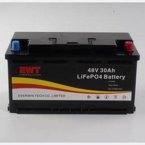 High Capacity 48V LFP Battery for Various Applications Low Environmental Impact