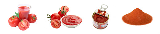 Food Grade SUS304 Tomato Production Line Customized 100T/D