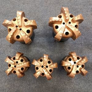 Alloy Steel PDC Drill Bits for Gas and Water Well Drilling with Polymerization