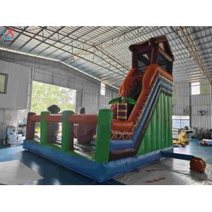 Inflatble Exotic Bouncy House With Internal Slide Combo Jumping Castle