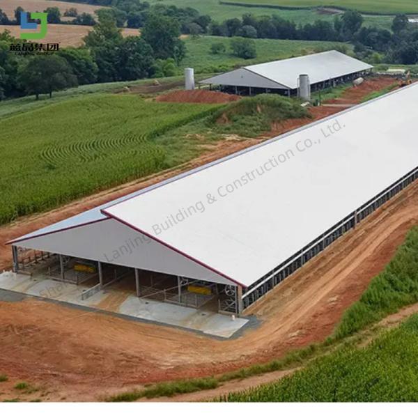 Prefabricated Steel Structure Dairy Cow Shed Poultry Farm For Livestock Farming