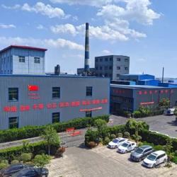 Pingdingshan Oriental Carbon Co., Ltd