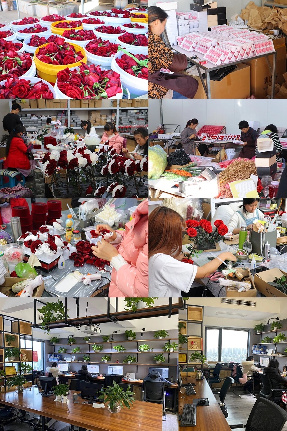 6 Buds/Box 5-6cm Artificial Preserved Rose Heads For Wedding