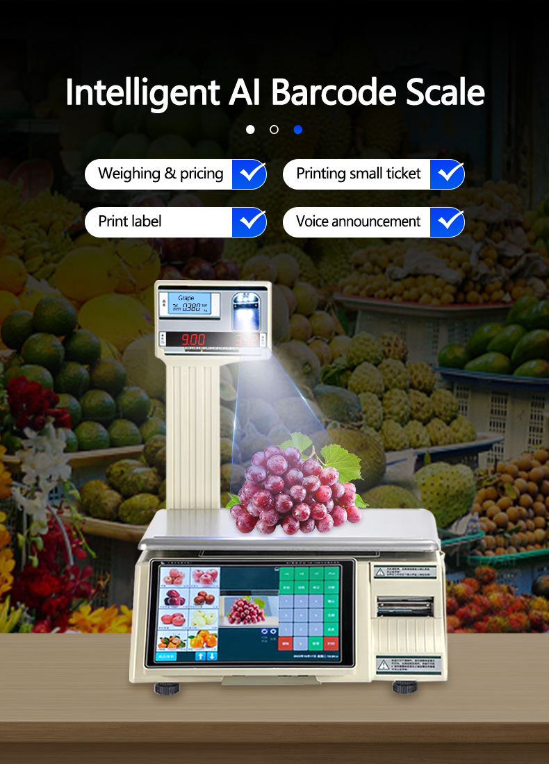 Maximum Range 30kg Intelligent Bar Code Table Scale SHW-TMF6 with 10/7 Inch Display