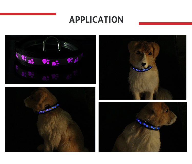 Luminious Nylon Flashing Waterproof Lighted Dog Collar LED Dog Accessories