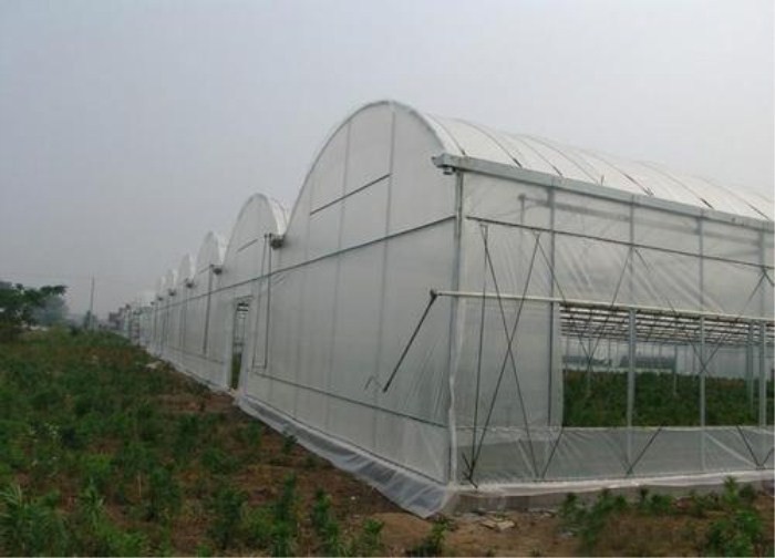 Agricultural 60 Mesh Insect Proof Garden Netting HDPE Plastic Materials