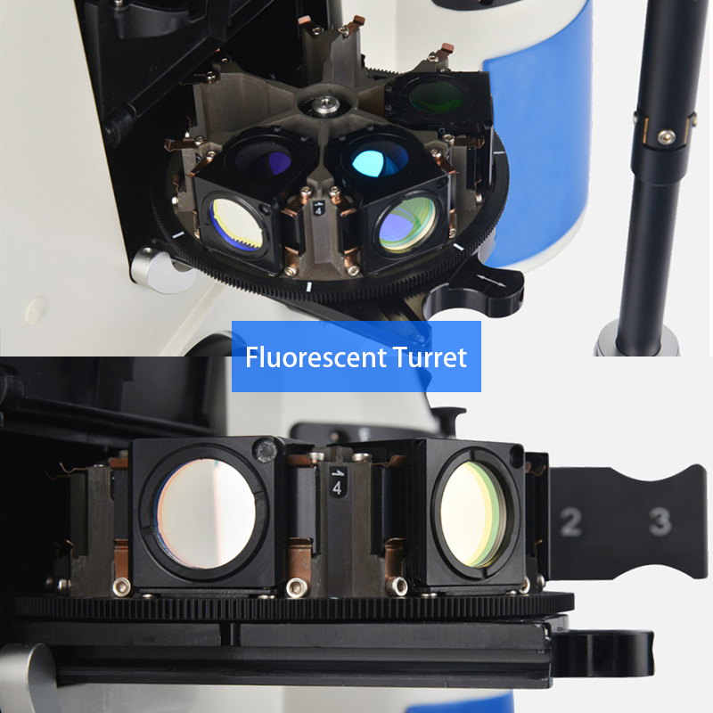 Full Motorized Opto Edu Microscope Semi APO BF / PH / PL / FL / DIC