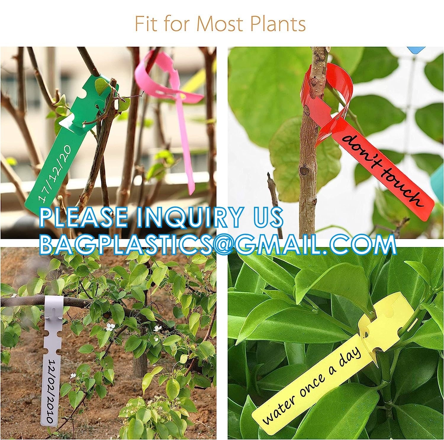 Tree Tags Plastic Plant Labels Wrap, Plant Tags Nursery Tags, Plant Identification Stakes, Garden Tags, Multicolors