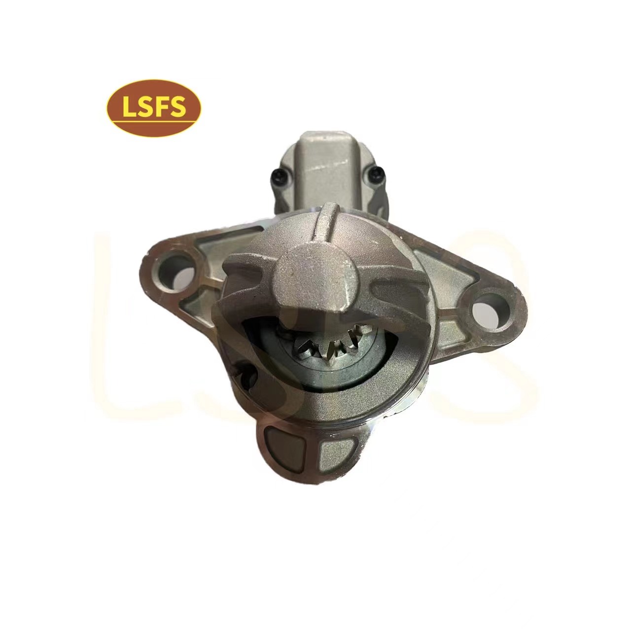 OEM C00017006 Starter Motor for Maxus G10 T60 T70 at Competitive