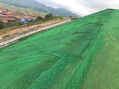 Grass Protection Turf Reinforcement Mesh with HDPE PE Material Length 25m-50m/roll