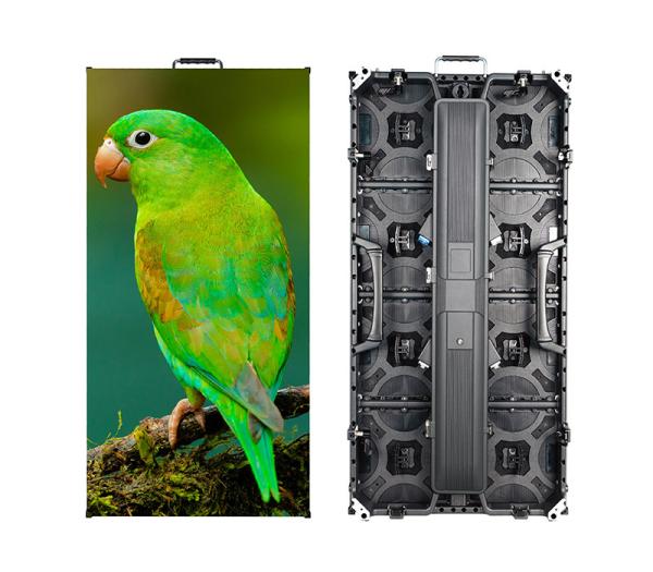 Indoor LED Displays | Curved & Crash-Proof | USA Stock & Local Service Energy