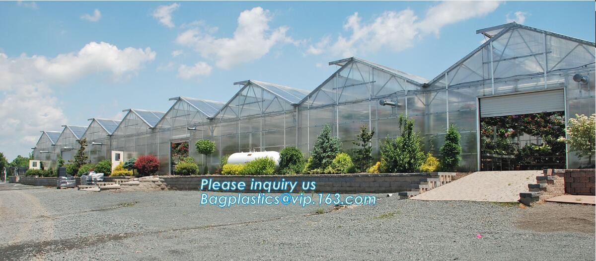 small garden green house,Multispan Tunnel Greenhouse for Tomato Agricultural Green houses,fabric steel wire agriculture